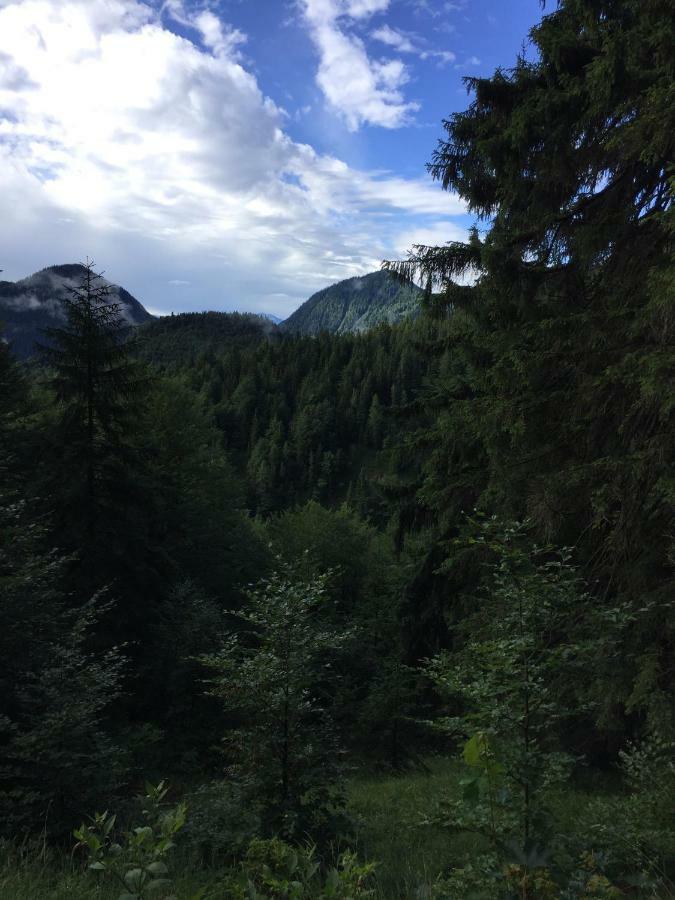 Ferienwohnung Almflair Chalet Thiersee Esterno foto